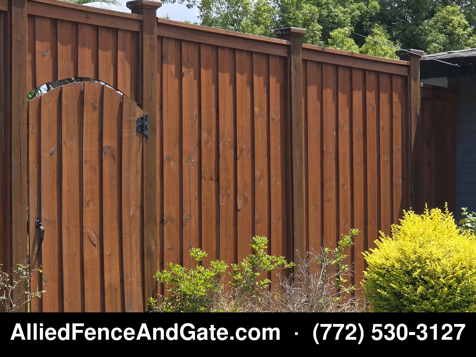 Stained cedar privacy fence with custom arched gate