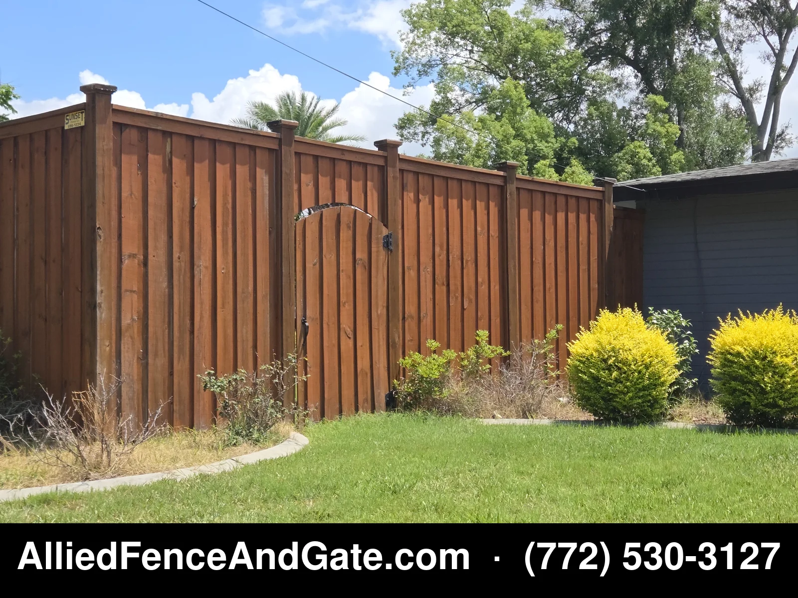 Full view of stained cedar privacy fence with arched gate and landscaping