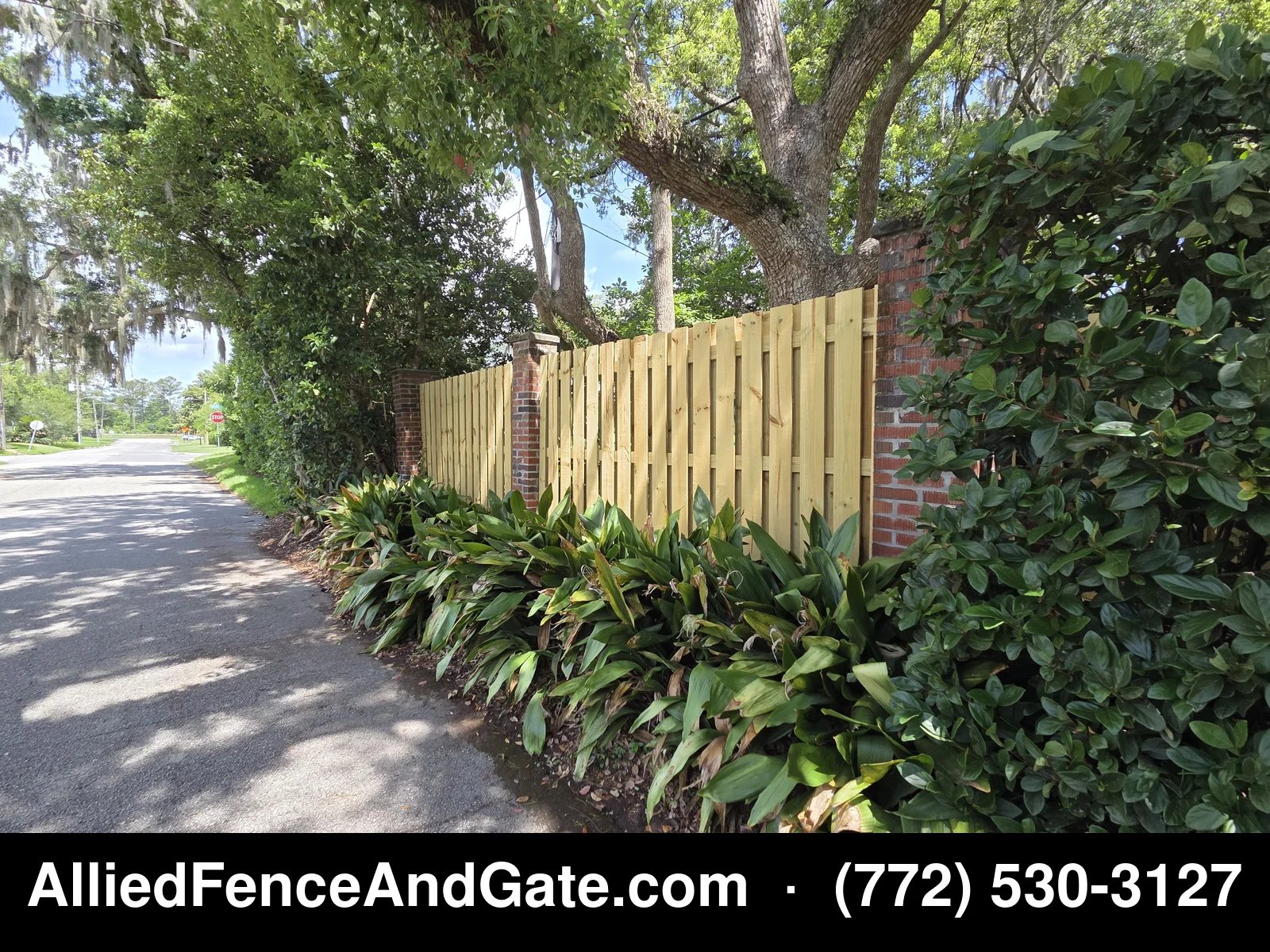 Pine shadowbox fence with brick pillars along street with Spanish moss trees