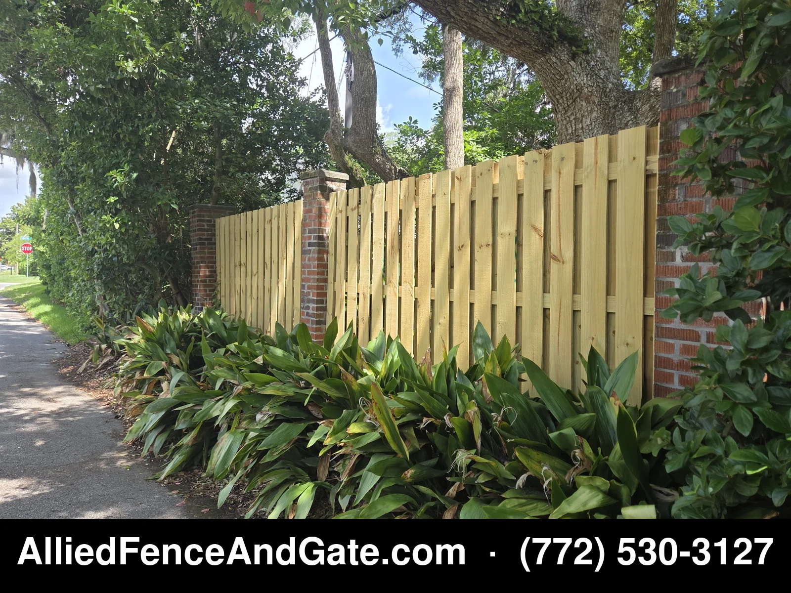 Pine shadowbox fence with brick columns and mature oak trees along sidewalk