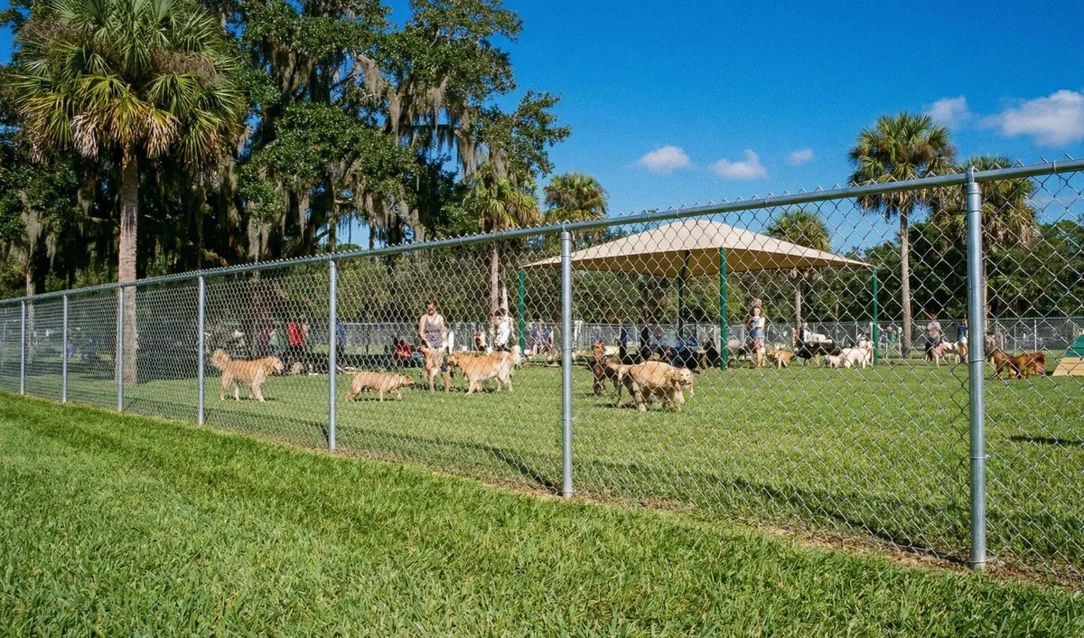 Galvanized chain link fence in a Florida yard for pet containment